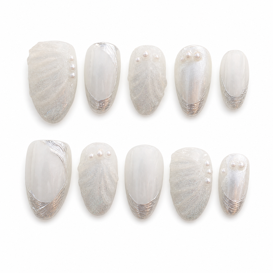 Ivory Seashell white background