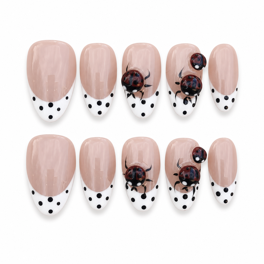 Ladybug & Polka Dot white background